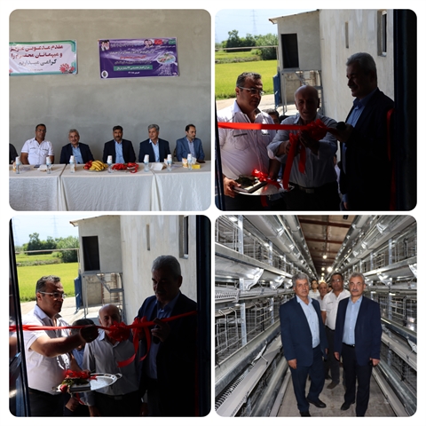 افتتاح یک واحد تولیدی مرغ تخمگذار ۶۰ هزار قطعه ای با مشارکت ۹۲ میلیارد ریالی بانک کشاورزی استان گلستان