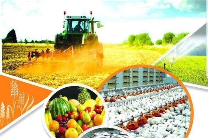 شعب بانک کشاورزی در استان اصفهان تا پایان شهریور ماه سال جاری بیش از 12.000 میلیارد ريال تسهیلات پرداخت کردند