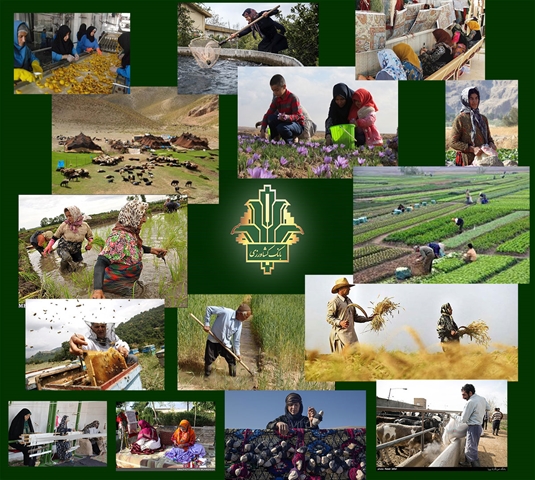 ایجاد 1600 شغل جدید با حمایت بانک کشاورزی استان بوشهر در طرح توسعه اشتغال پایدار روستایی و عشایری