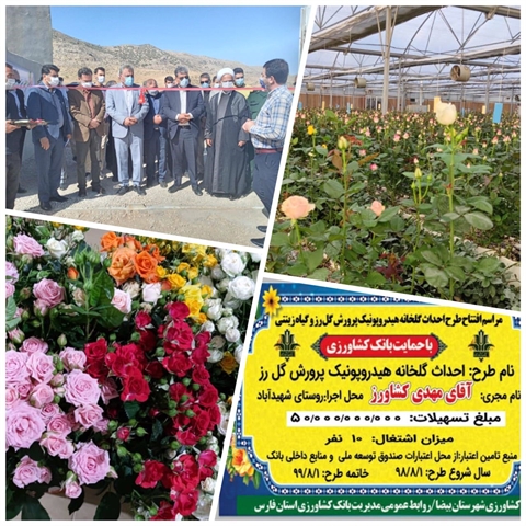 افتتاح طرح گلخانه هیدروپونیک پرورش گل رز و گیاهان زینتی با استفاده از تسهیلات بانک کشاورزی
