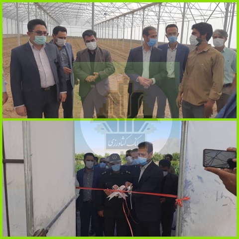 افتتاح طرح گلخانه سبزی و صیفی  با استفاده از تسهیلات بانک کشاورزی استان فارس