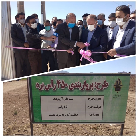 افتتاح طرح پرواربندی بره در شهرستان خرم بید استان فارس با استفاده از تسهیلات بانک کشاورزی