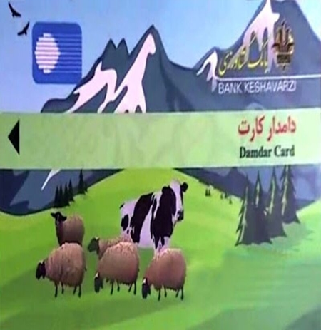تحقق 125 درصدی برنامه پرداخت تسهیلات دامدار کارت در شعب بانک کشاورزی استان مازندران 