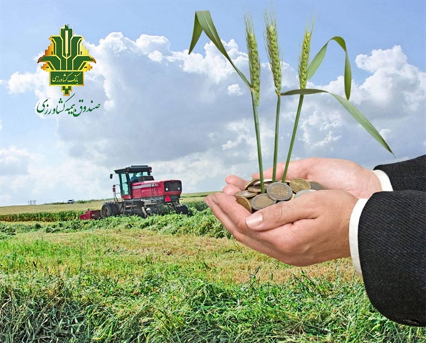 تحقق 118درصدی برنامه بیمه زراعت توسط صندوق بیمه کشاورزی در سال زراعی جاری