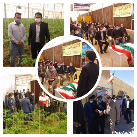 به مناسبت هفته دولت راه اندازی واحد  گلخانه سبزی و صیفی شهرستان ارسنجان  با مشارکت بانک کشاورزی استان فارس