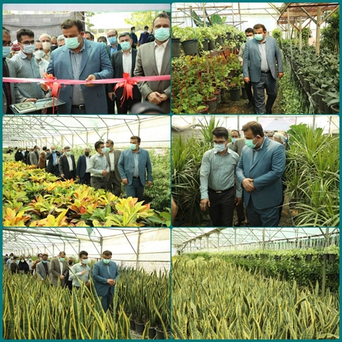 افتتاح واحد تولیدی گل و گیاه به مساحت 4000 متر مربع در استان مازندران با حمایت بانک کشاورزی