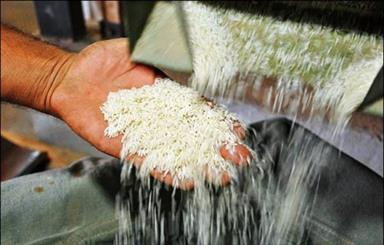 احداث واحد4000 تنی برنج کوبی با مشارکت بانک کشاورزی در استان خوزستان