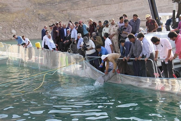 BK Finances Sea Cage Aquaculture Project 