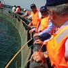 MD Visits Sea Cage Aquaculture Projects