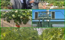 مشارکت بانک کشاورزی استان آذربایجان شرقی در احداث شهرک گلخانه ای شهرستان عجب شیر
