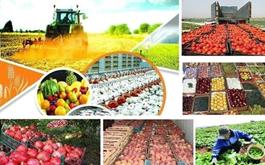 پرداخت  29هزار میلیارد ريال تسهيلات بخش کشاورزی توسط بانک کشاورزی استان البرز
