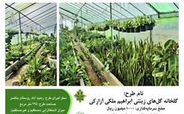 پویش اخبار دهه فجر ، حمایت 800 میلیونی  بانک کشاورزی از گلخانه ابراهیم ملکی