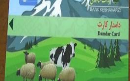 پرداخت بیش از ۴۹۰ میلیارد ریال تسهیلات مردمی سازی یارانه ها توسط بانک کشاورزی استان گلستان