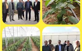 افتتاح گلخانه 7000 مترمربعی در چهارمحال و بختیاری با حمایت بانک کشاورزی در ایام الله دهه فجر