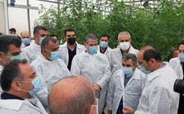 بازدید وزیر جهاد کشاورزی از  گلخانه بزرگ ۱۰ هکتاری سبزی و صیفی در شهرستان میاندورود استان مازندران