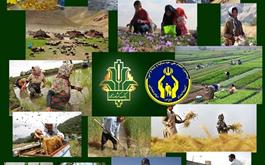 جایگاه برتر بانک کشاورزی در پرداخت تسهیلات قرض الحسنه بند ب تبصره16 کمیته امداد امام خمینی