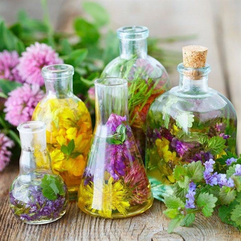 آغاز بهره برداری از طرح تولید و بسته بندی عرقیات و اسانس با حمایت بانک کشاورزی استان فارس در دهه فجر
