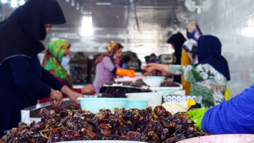 بهره برداری از طرح  سردخانه و بسته بندی خرما با حمایت بانک کشاورزی استان بوشهر 