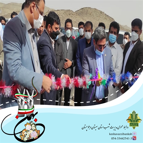 آغاز بهره برداری از  واحد30 هزار قطعه ای پرورش مرغ گوشتی با حمایت بانک کشاورزی استان سیستان و بلوچستان در دهه فجر