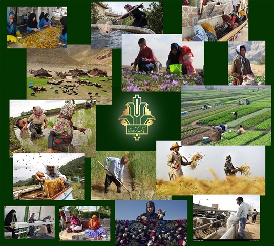 ایجاد 45000 کسب و کار پایدار جدید در مناطق روستایی و عشایری با حمایت بانک کشاورزی 