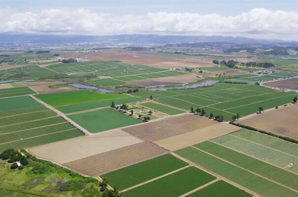 رشد 33 درصدی تعداد بیمه نامه های صادره  توسط صندوق بیمه کشاورزی در سه ماهه ابتدای سال زراعی جاری 