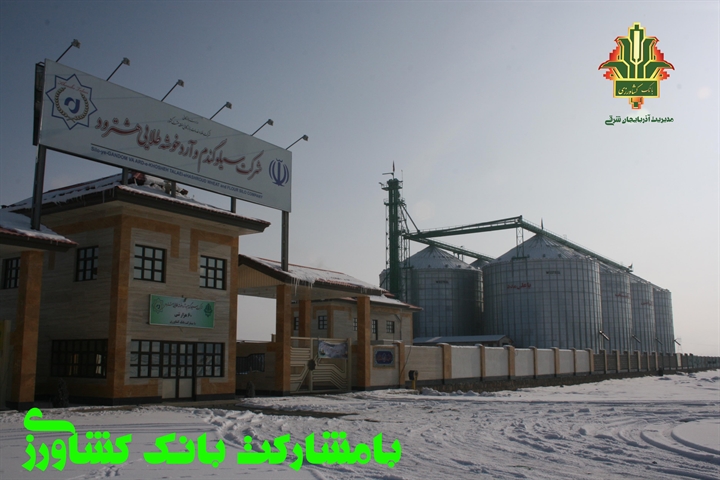 واریز 93درصد وجوه گندم خریداری شده  در استان آذربایجان شرقی توسط بانک کشاورزی