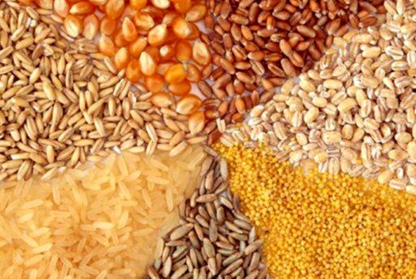 پرداخت تسهیلات 17500میلیارد ریالی بانک کشاورزی برای تأمین بذورگواهی شده