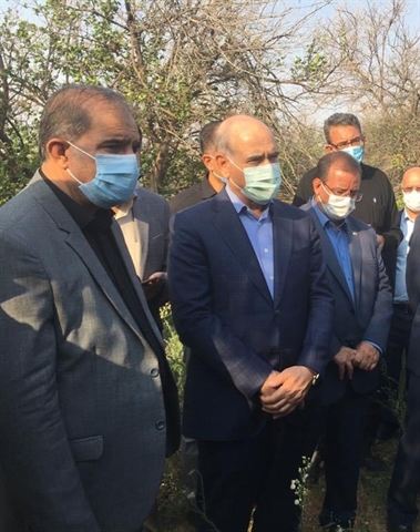 مدیرعامل بانک کشاورزی خبرداد:پرداخت تسهیلات برای احیای باغ های خسارت دیده از زوال مرکبات