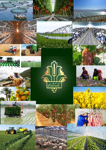 پرداخت قریب به 612 هزار میلیارد ریال تسهیلات به بخش کشاورزی توسط بانک کشاورزی در سال 1399