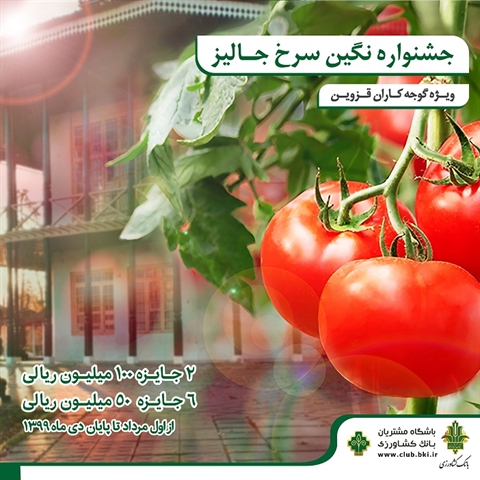 جشنواره نگین سرخ جالیز ویژه گوجه کاران استان قزوین